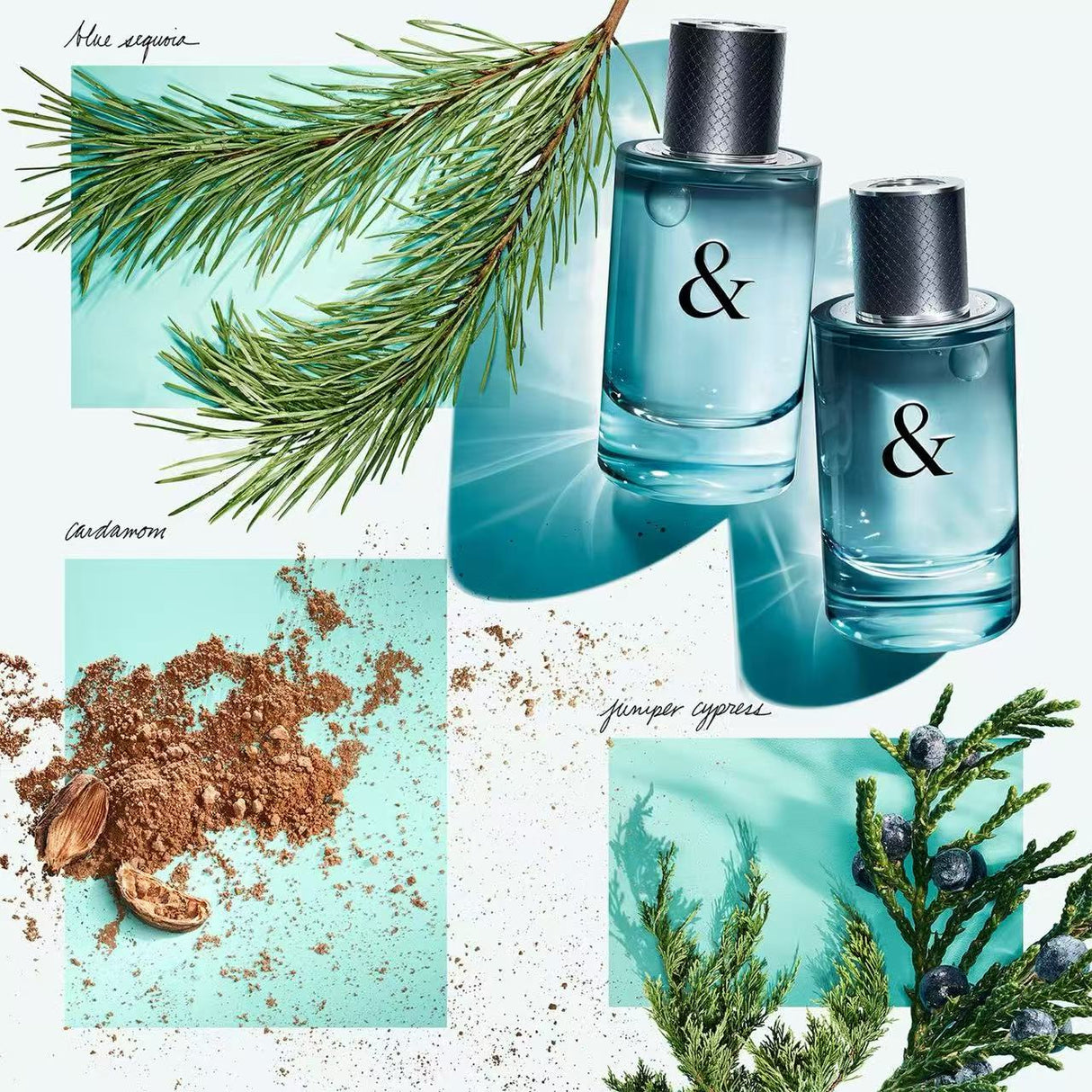 TIFFANY & CO. & LOVE FOR HIM EAU DE TOILETTE 蒂芙尼愛語男士淡香水 90ml