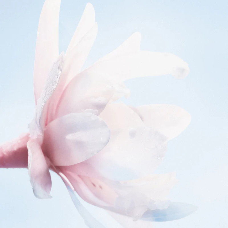 【2025新版】DIOR 迪奧 雪凝亮白全效輕盈防曬乳液 (透明色) spf 50+ pa++++.