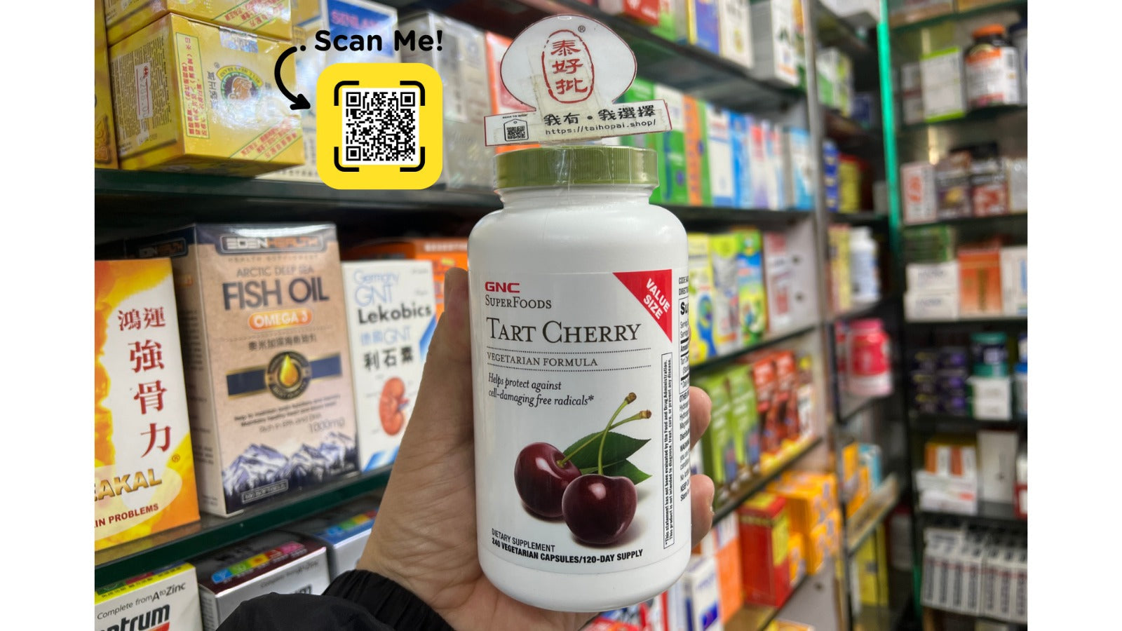 GNC Tart Cherry 酸櫻桃膠囊240粒 保健產品使用教程