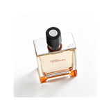 HERMÈS Terre D’Hermès Eau De Toilette 愛馬仕大地淡香水 100ml